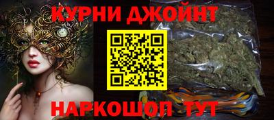 сатива Краснознаменск