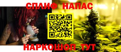 сатива Краснознаменск