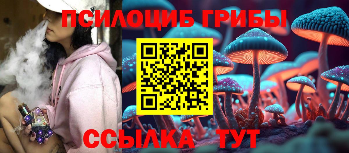 Галлюциногенные грибы Cubensis Балтийск